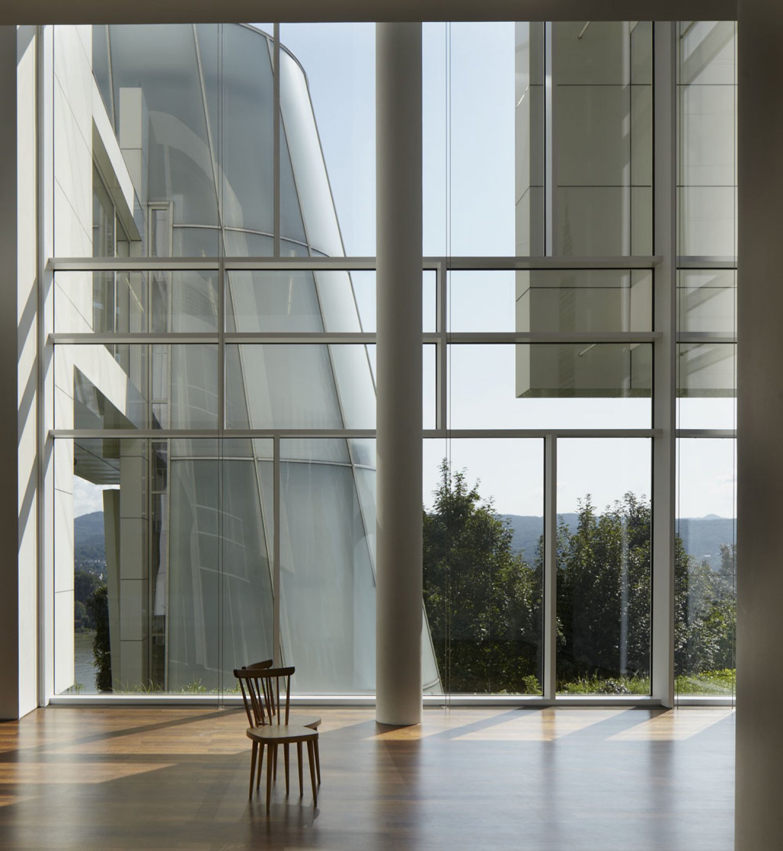 芸術写真 arp / The Museum of Modern Art 芸術写真 arp / The Museum of Modern Art arp the museum of modern