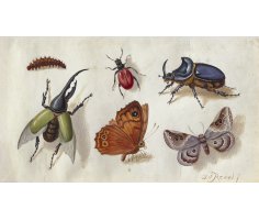 Wirklich. Kunst und Realität 1400–1900