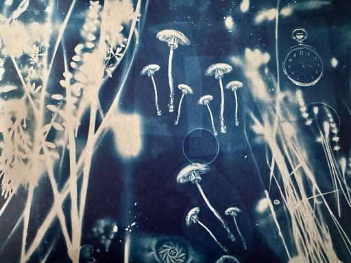 Cyanotypie_ © Ulla Hieronymi-Pinnock