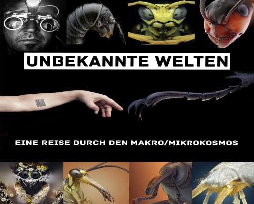 Flyer Mikro-/Makrofotografie