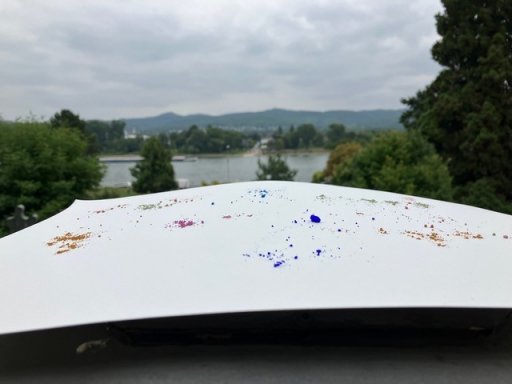 Rheinlandschaft